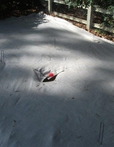 Aac Pics 262