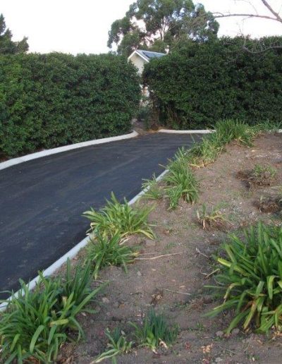 Aac Pics 266